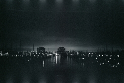 711466_1920_98d6d5